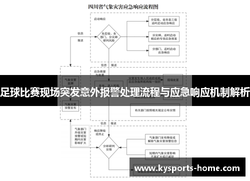 足球比赛现场突发意外报警处理流程与应急响应机制解析
