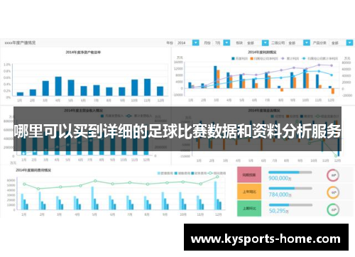 哪里可以买到详细的足球比赛数据和资料分析服务